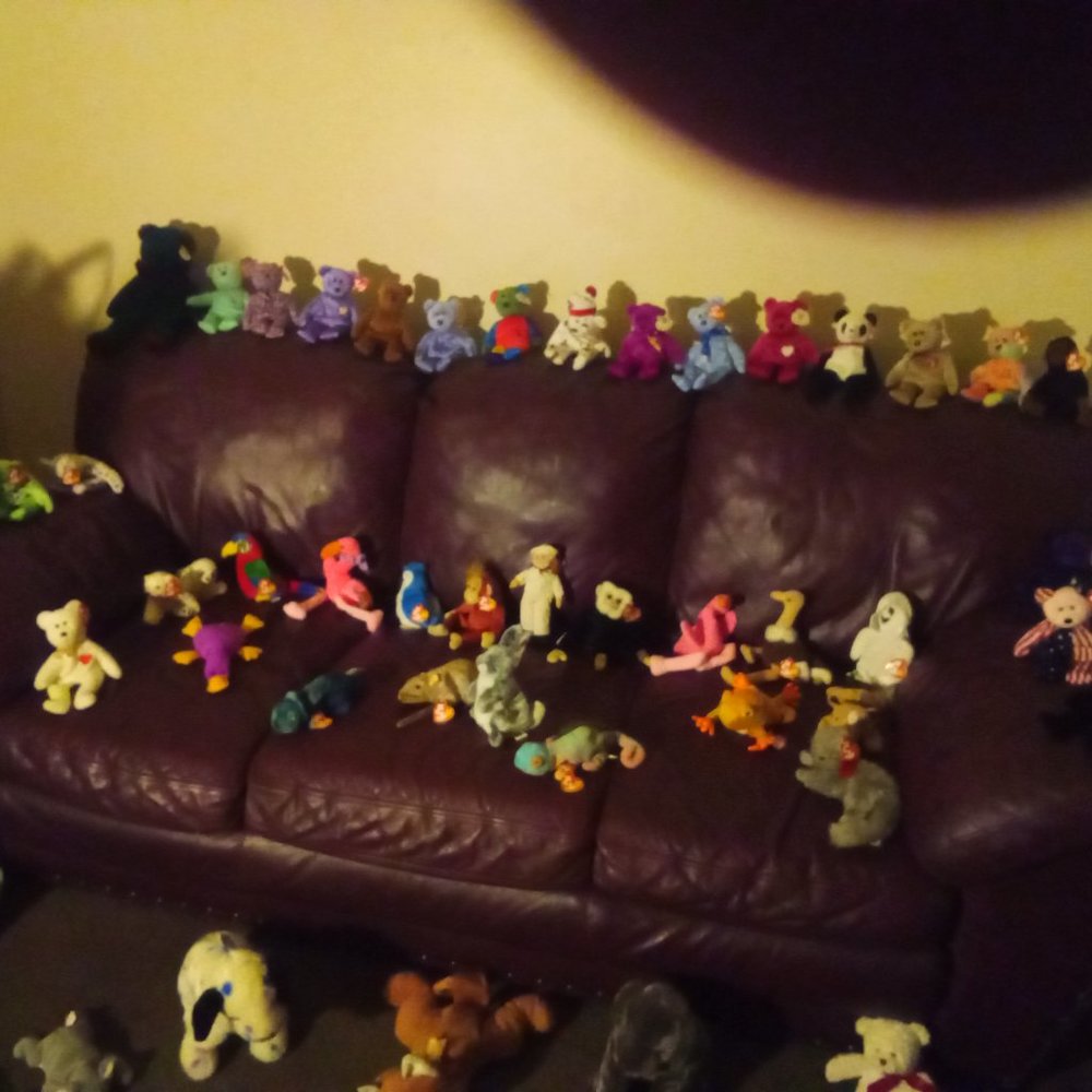 Rare and retired original Beanie babies - Picture 11 of 11